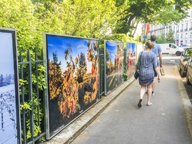 exposition,lumière,couleur,Tours,vigne
