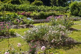 Fête des roses château du Rivau
