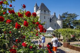Fête des roses château du Rivau