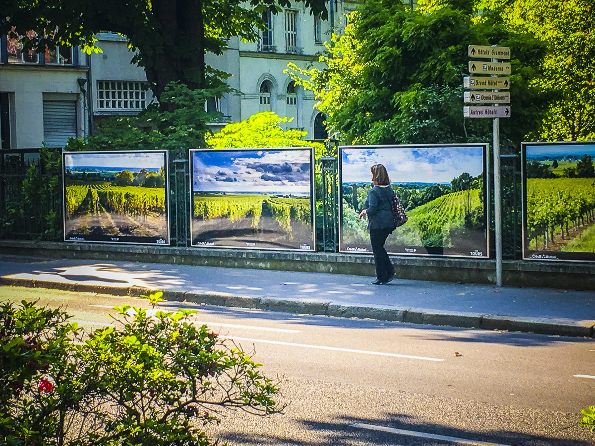 exposition,lumière,couleur,Tours,vigne