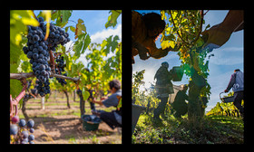 montage dyptique_75_12_web.jpg