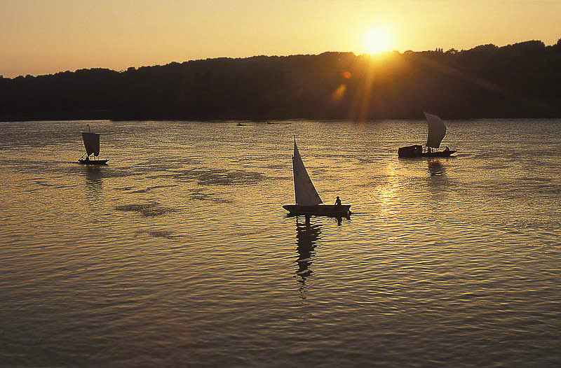 Exterieur_David_Darrault (31).jpg