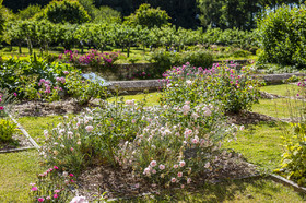 Fête des roses château du Rivau