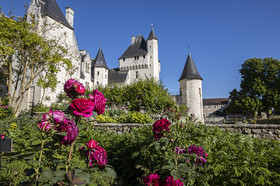 Fête des roses château du Rivau