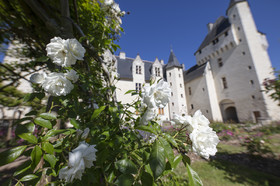 Fête des roses château du Rivau