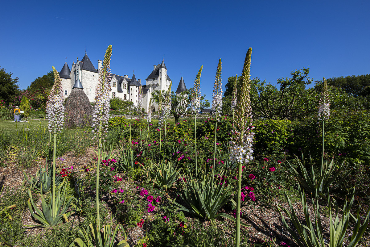 Fête des roses château du Rivau