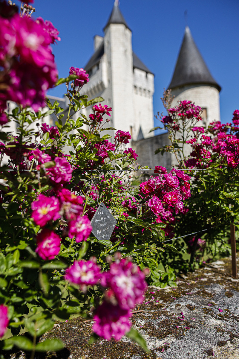 Fête des roses château du Rivau