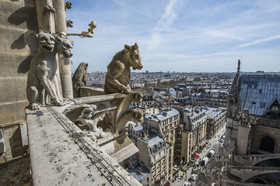 Cathédrale Notre Dame de Paris