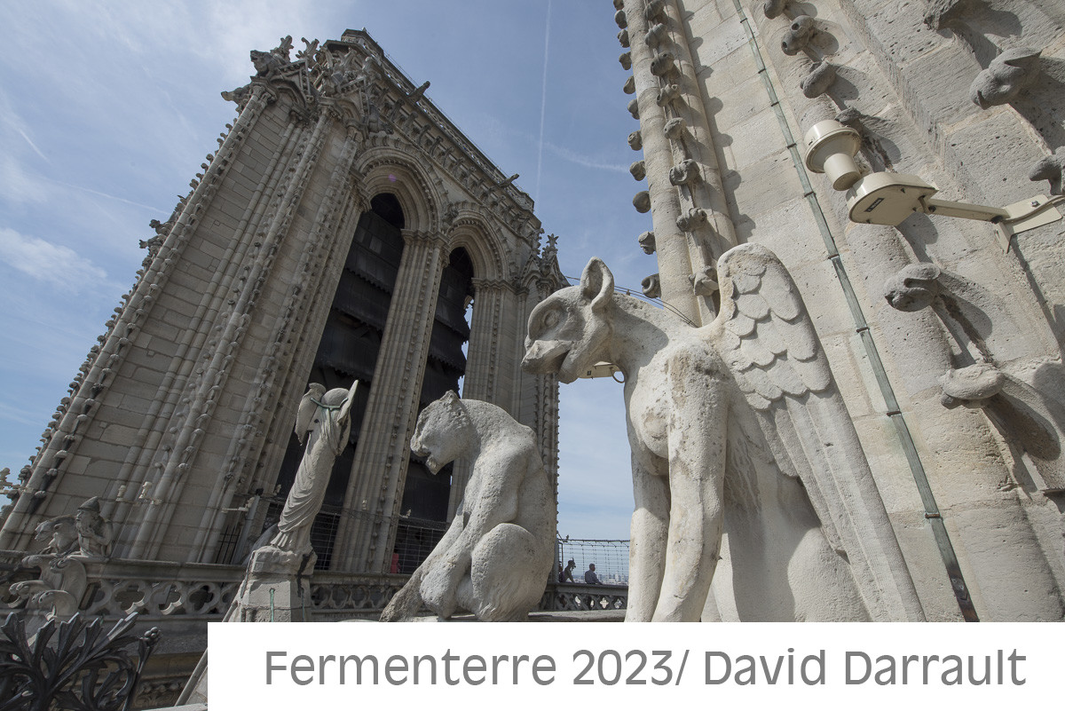 Cathédrale Notre Dame de Paris