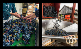 montage dyptique_75_11_web.jpg