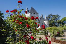 Fête des roses château du Rivau