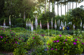 Fête des roses château du Rivau