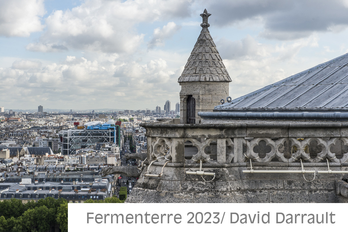Cathédrale Notre Dame de Paris