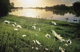 Loire en face de Bréhémont