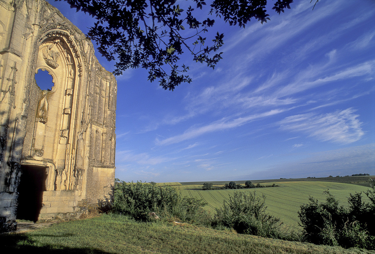 Roches Tranchelions Avon les Roches 37