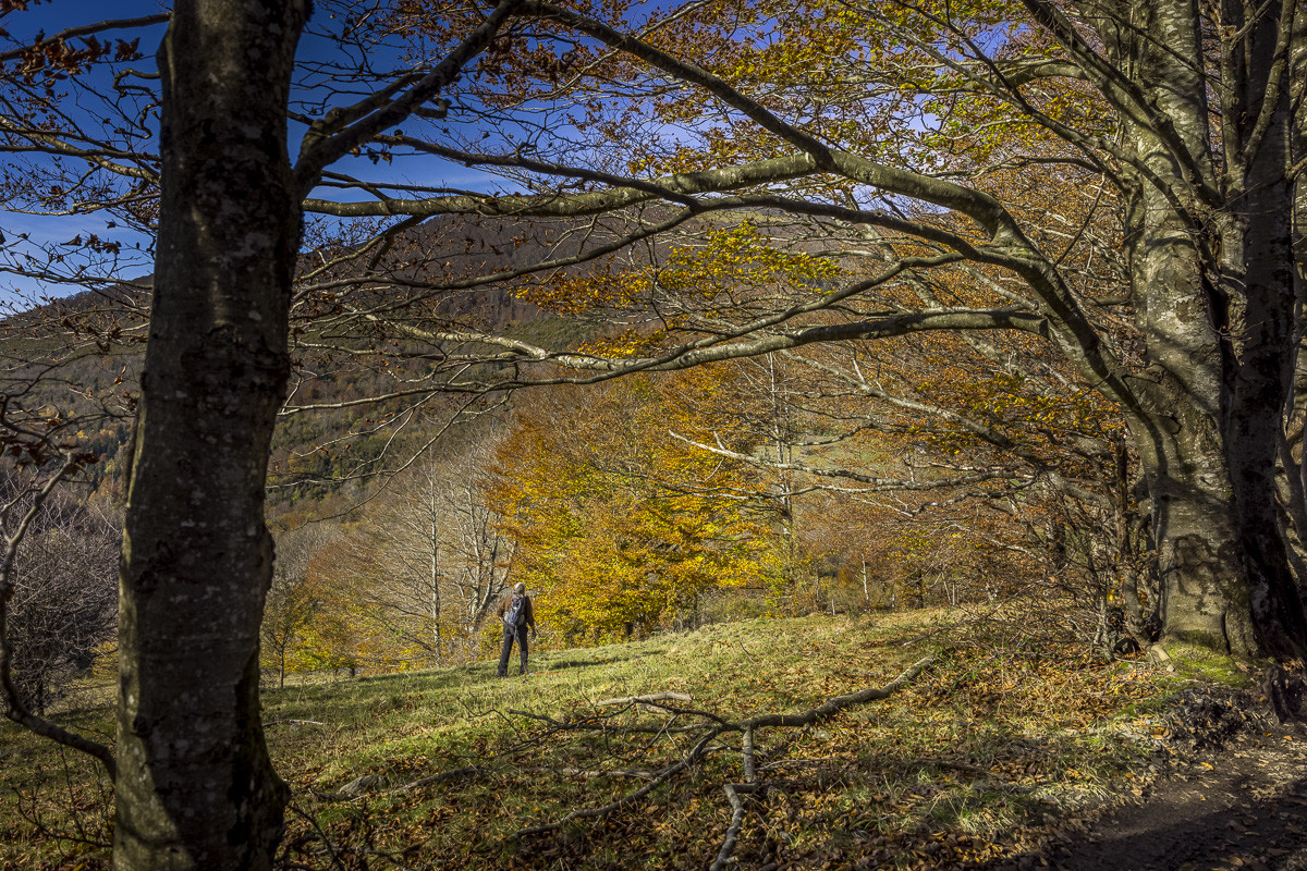 Les Pyrénées en automne