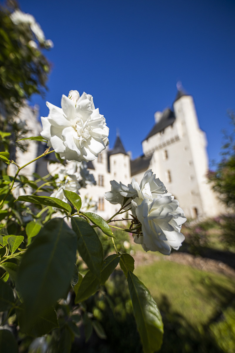 Fête des roses château du Rivau