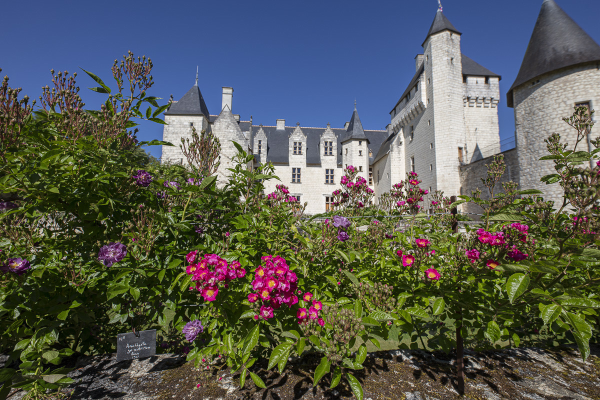 Fête des roses château du Rivau