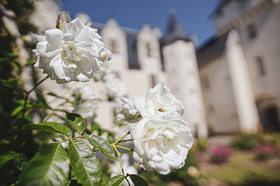 Fête des roses château du Rivau