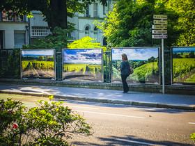exposition,lumière,couleur,Tours,vigne