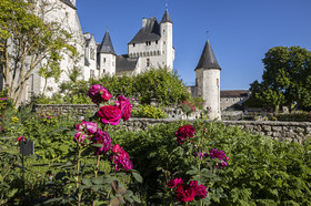 Fête des roses château du Rivau