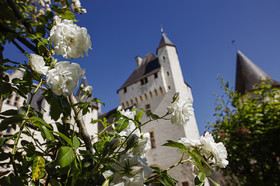 Fête des roses château du Rivau