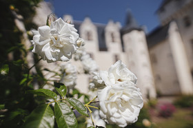 Fête des roses château du Rivau