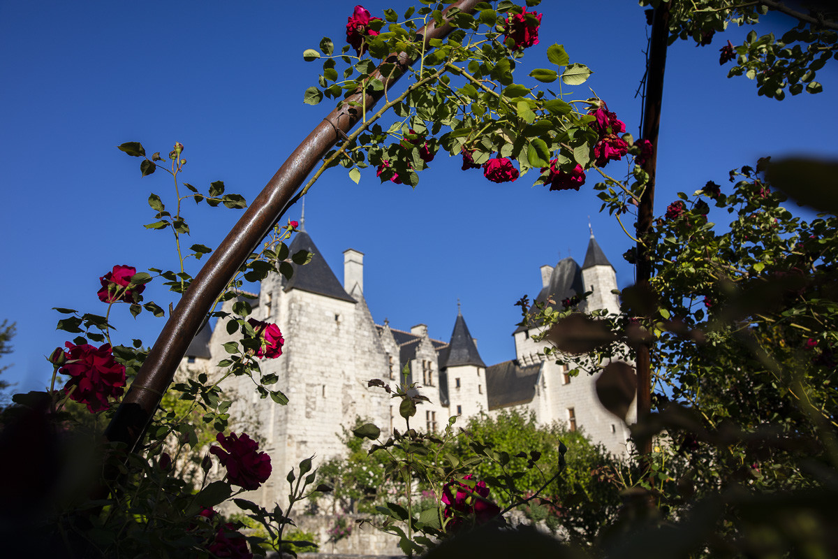 Fête des roses château du Rivau