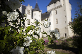 Fête des roses château du Rivau