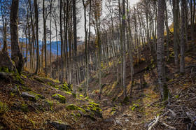 Les Pyrénées en automne