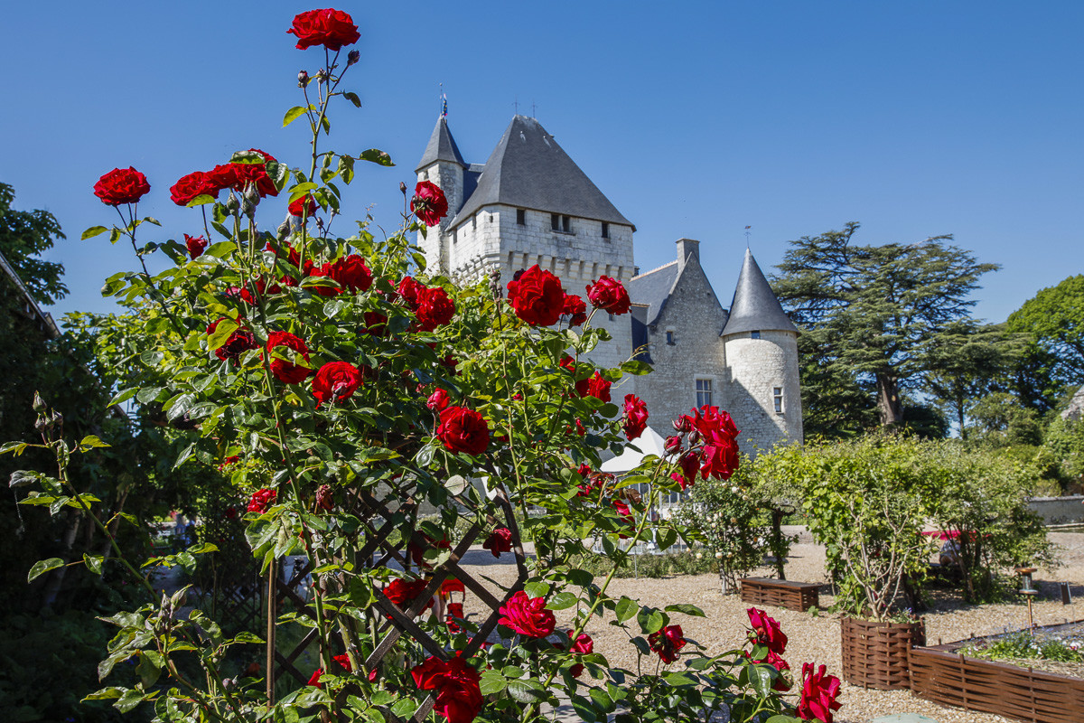 Fête des roses château du Rivau