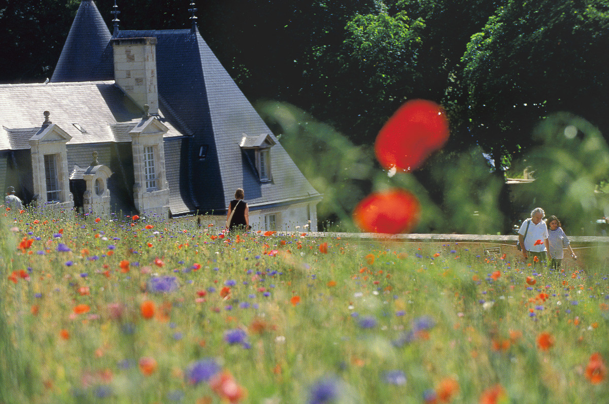 Château de la Chatonnière Azay le Rideau 37