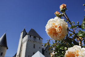 Fête des roses château du Rivau