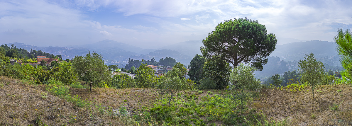 B0003915-Panorama_web.jpg