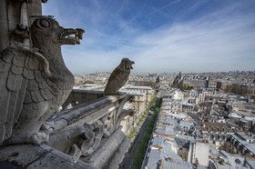 Cathédrale Notre Dame de Paris
