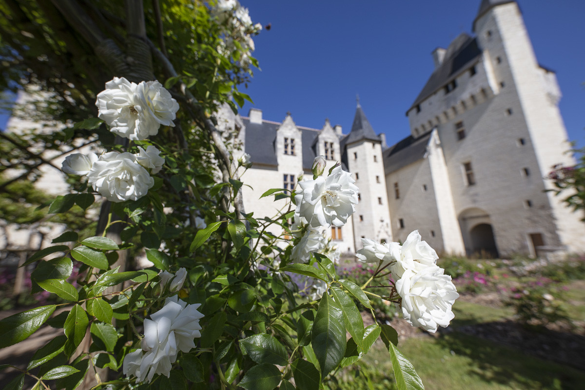 Fête des roses château du Rivau
