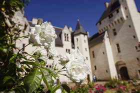 Fête des roses château du Rivau
