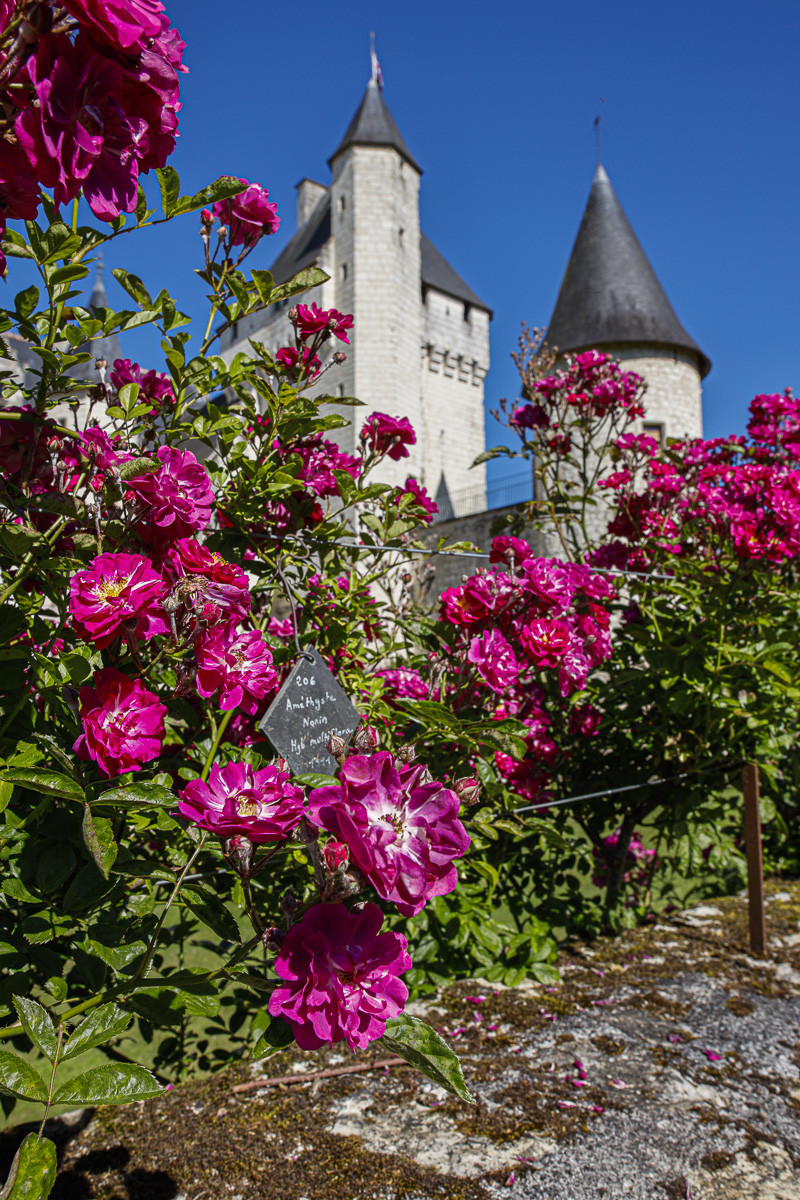 Fête des roses château du Rivau