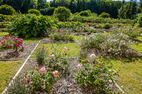 Fête des roses château du Rivau