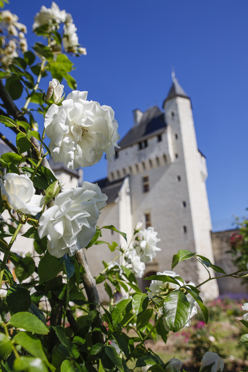Fête des roses château du Rivau