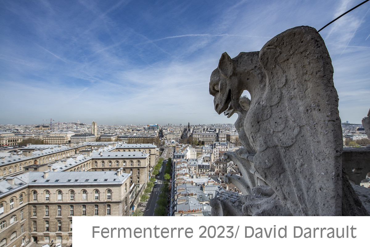 Cathédrale Notre Dame de Paris
