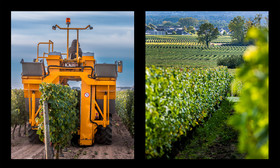 montage dyptique_75_01_web.jpg