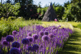 Fête des roses château du Rivau