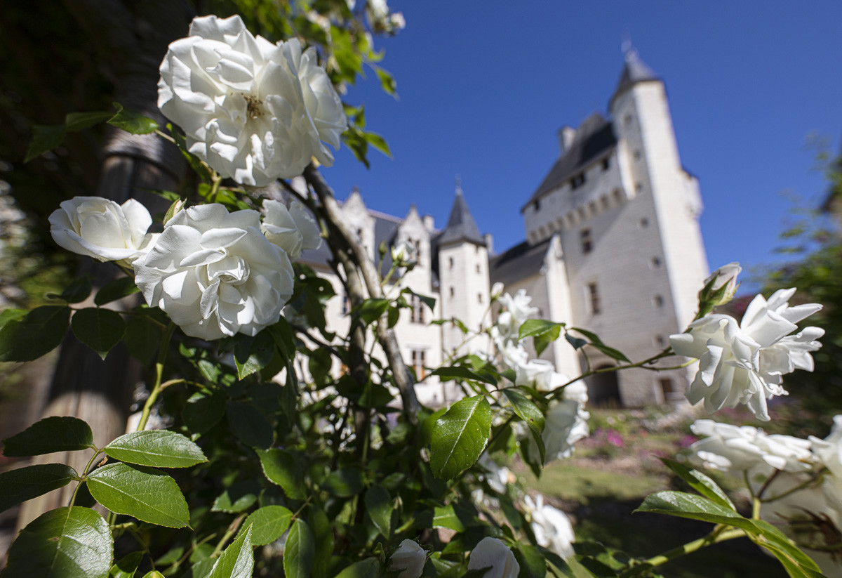 Fête des roses château du Rivau