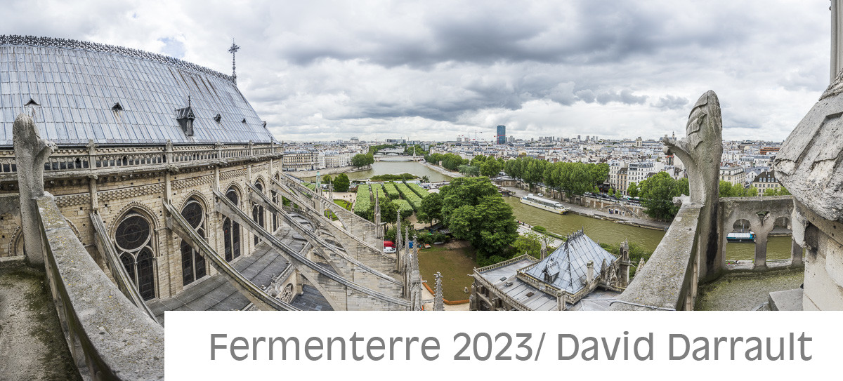 Cathédrale Notre Dame de Paris