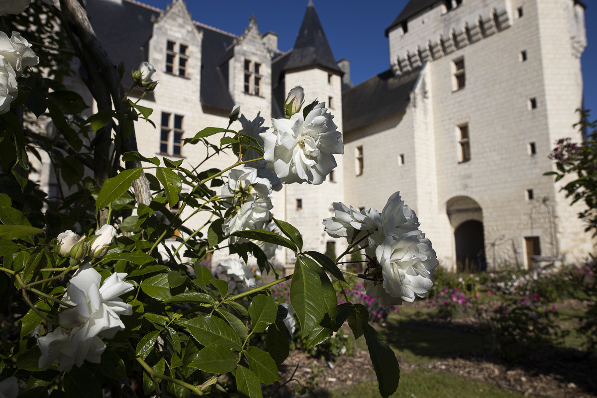 Fête des roses château du Rivau