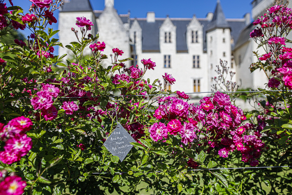 Fête des roses château du Rivau