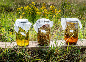 _DSF4503-Avec accentuation-Bruit_web.jpg