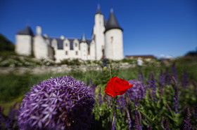 Fête des roses château du Rivau