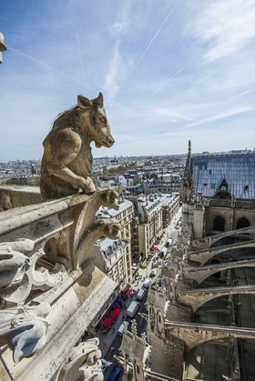 Cathédrale Notre Dame de Paris